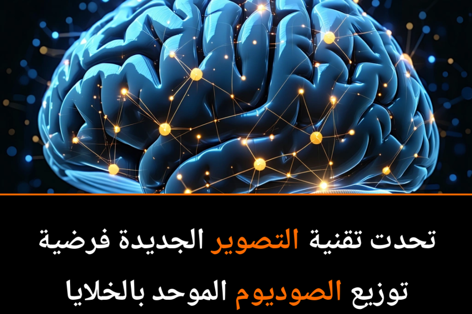Revolucija u neuroznanosti: Kako natrijum otkriva tajne mozga