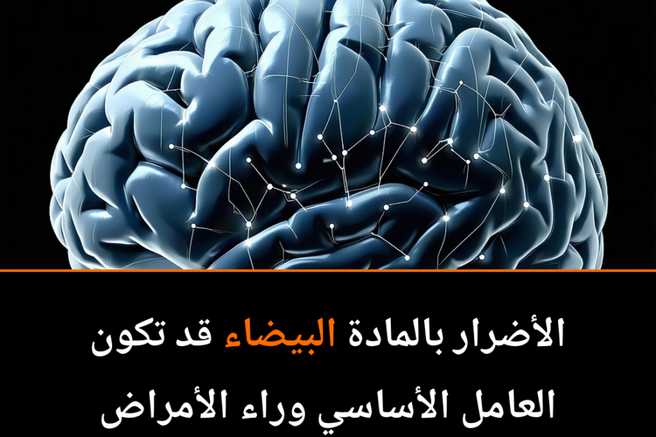 Revolucija u neurologiji: Bijela tvar mozga kao ključ za liječenje Alzheimerove bolesti?