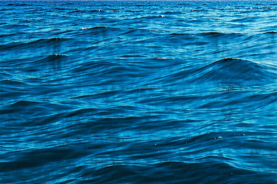 Oceani na ivici: Rekordne temperature prijete morskom svijetu